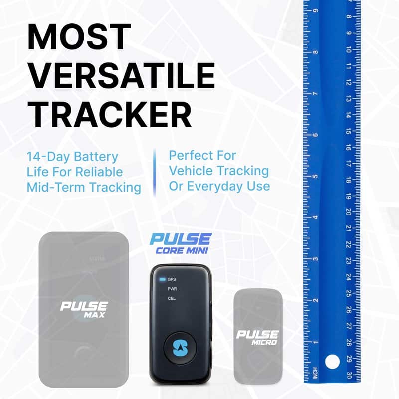 Lifehammer Safety Hammer Evolution